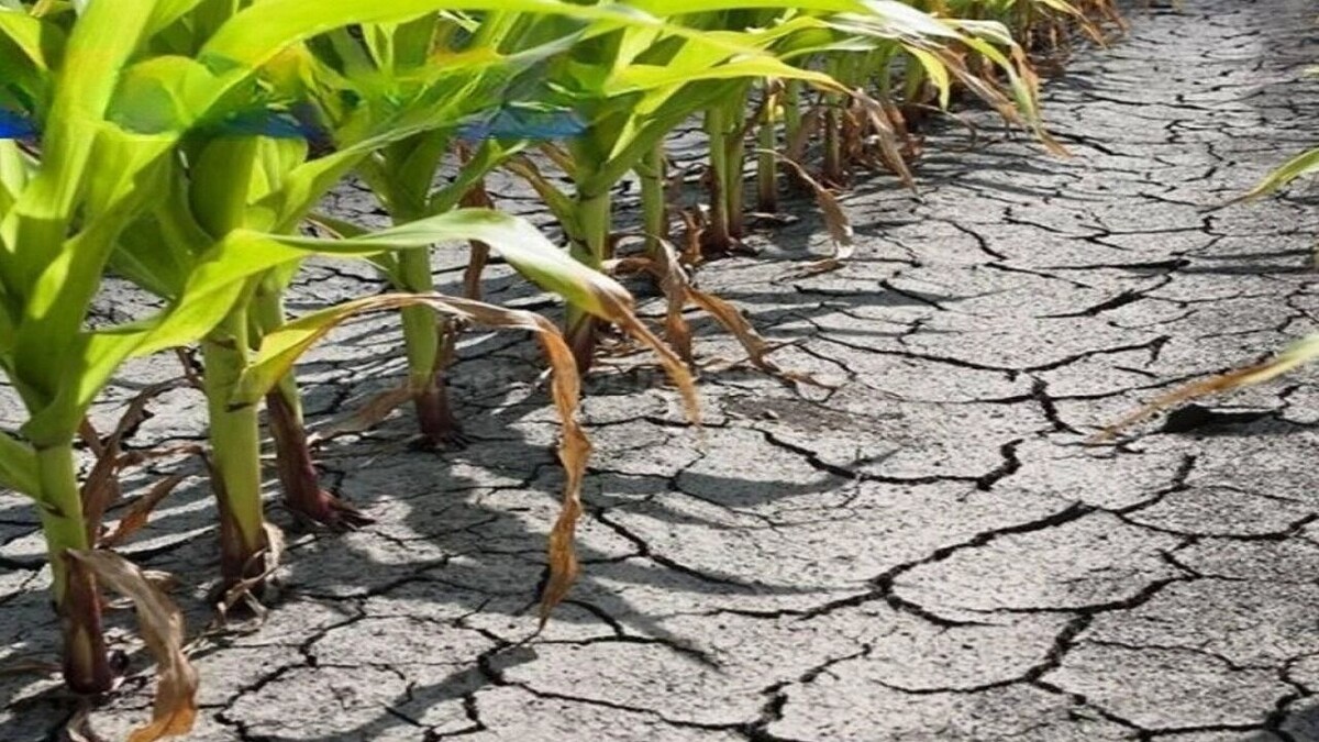     Источник: @kuban_meteo