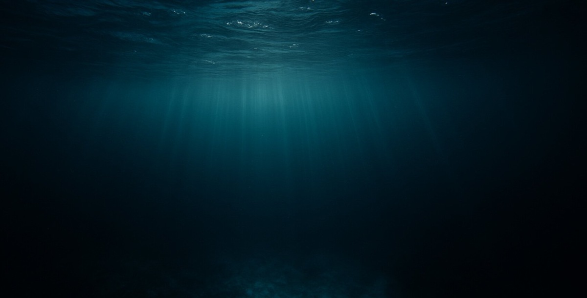    В океан проникает меньше света