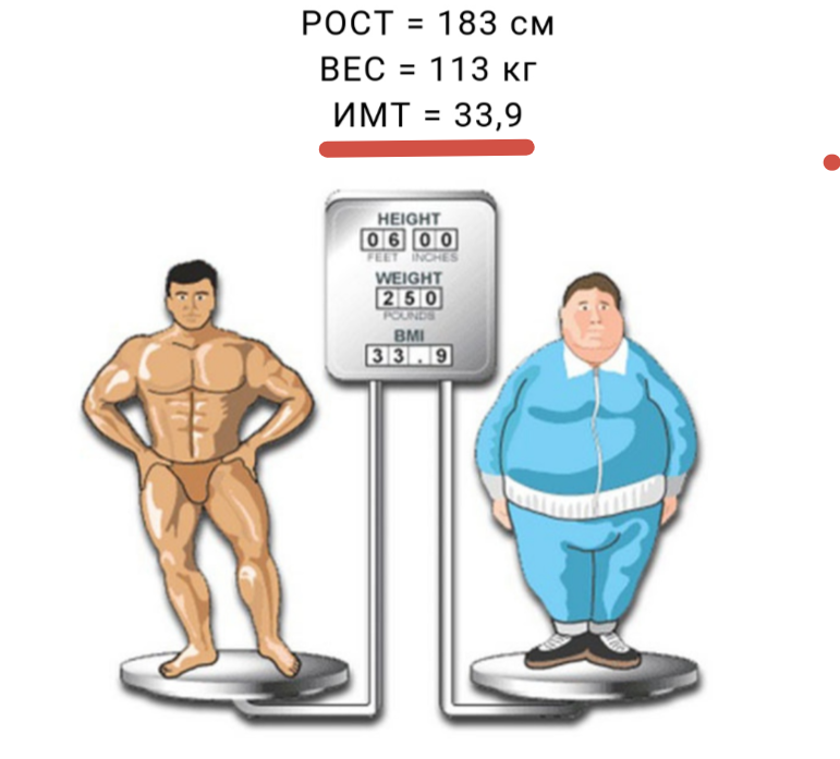 у обоих индекс массы тела выше нормы