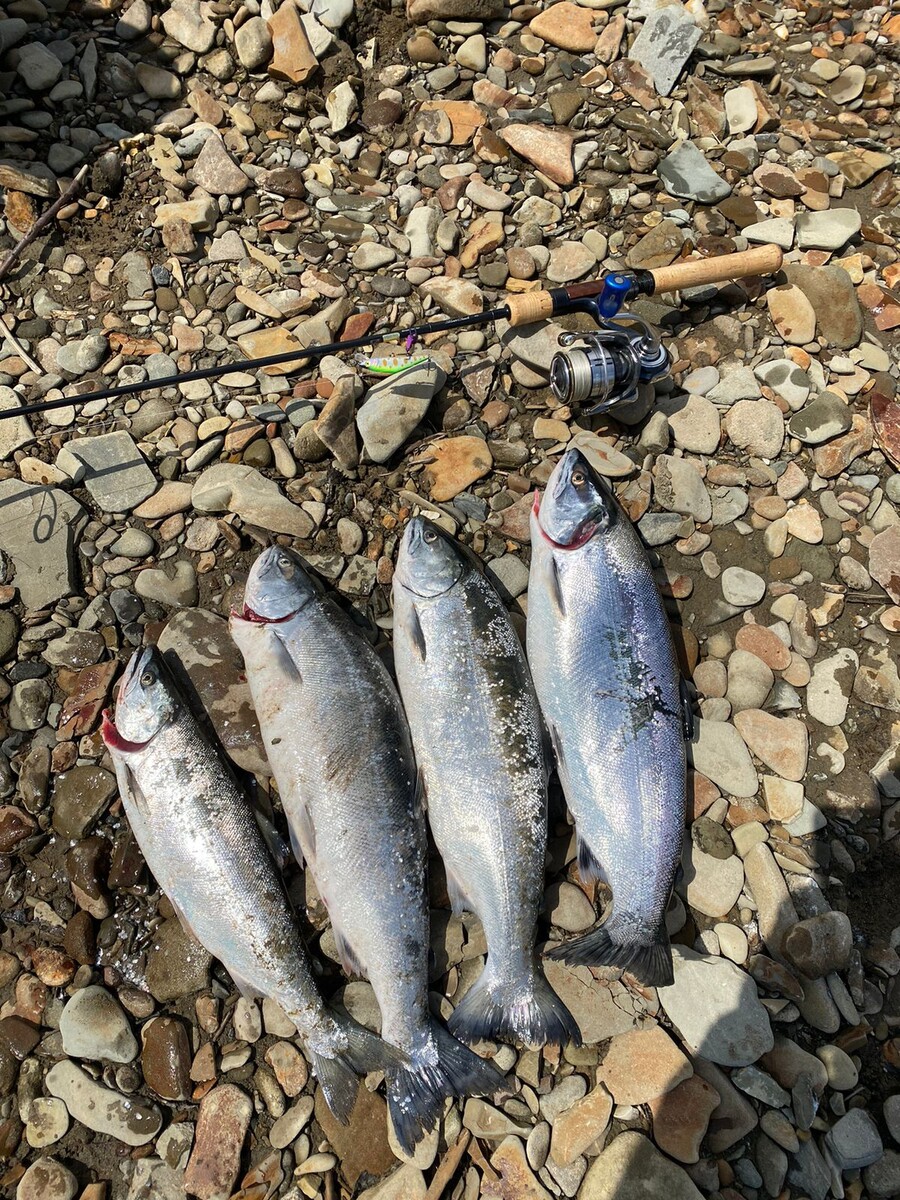 Ловись, рыбка…