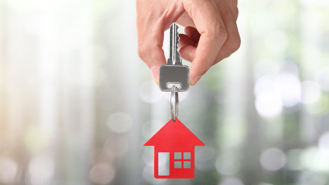    Фото: Denphumi/shutterstock