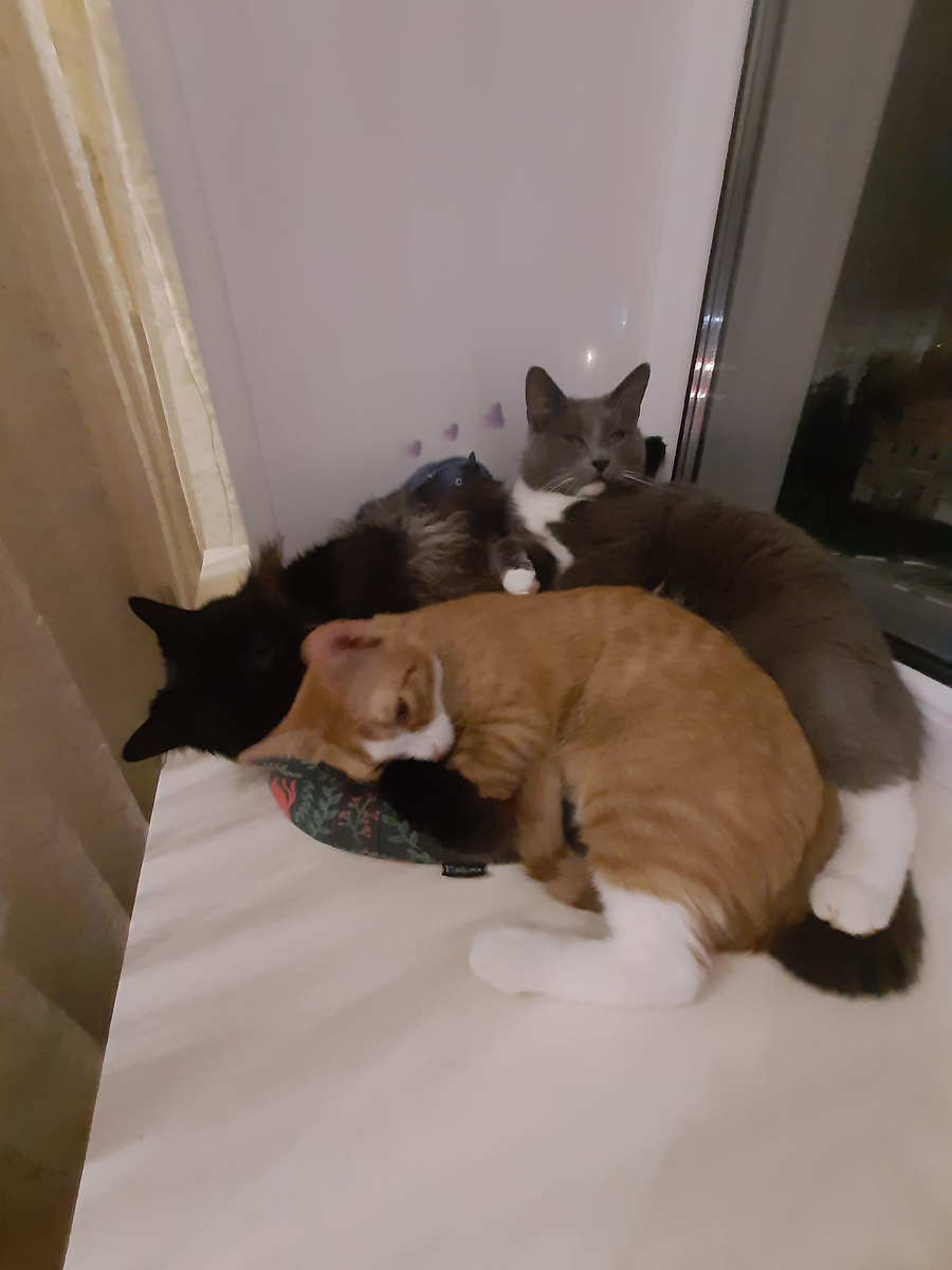 Сэм, Жан-Батист и Борис