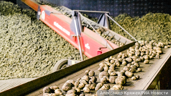     Фото: Александр Кряжев/РИА Новости   
 Текст: Ольга Иванова