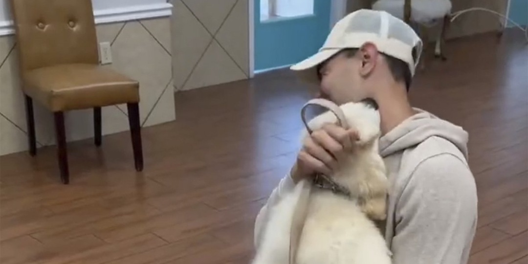 Любовь без границ: щенок наконец оказался в объятиях своего хозяина