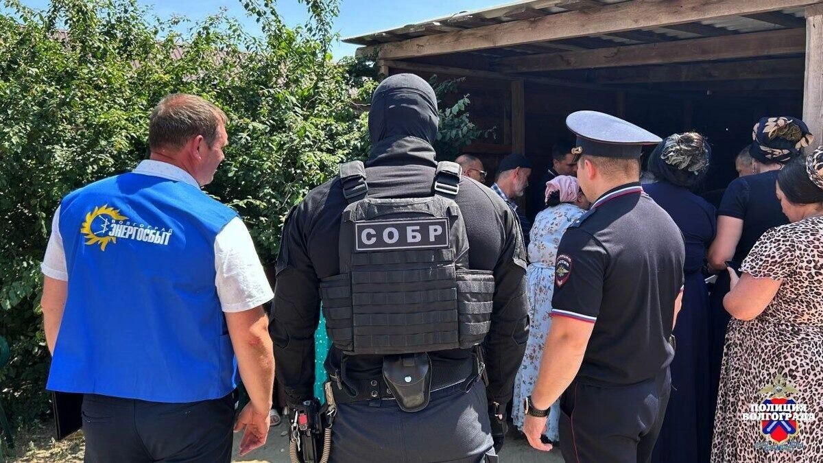     Источник: ГУ МВД по Волгоградской области