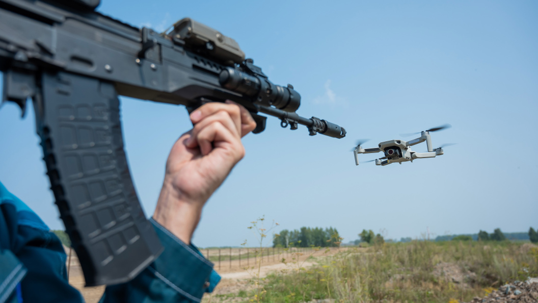    Фото: Reshetnikov_art/shutterstock