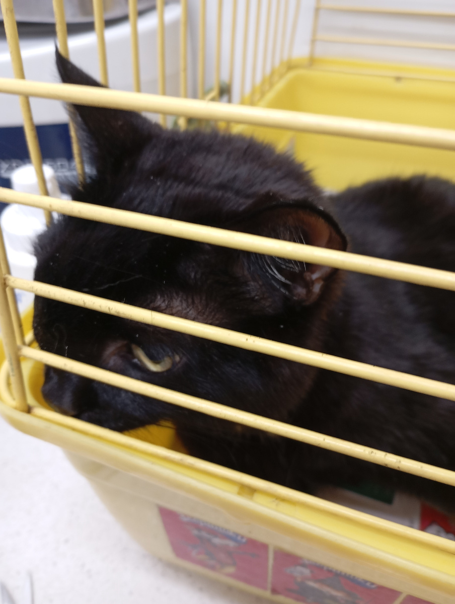 Тут ребенку дали наркоз и ждали пока подействует