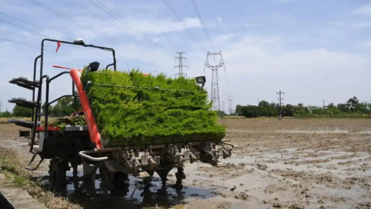 Фото:Синьхуа
Беспилотная рисовая сеялка с поддержкой 5G в демонстрационной зоне на юго-западе китайской провинции Сычуань
