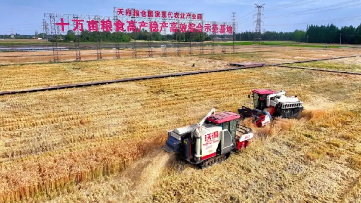 Фото:Синьхуа
Комбайны в демонстрационной зоне соревнования фермеров и искусственного интеллекта в провинции Сычуань в мае 2025 года