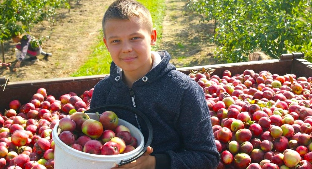 С чего начинается наша родина