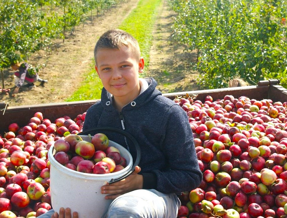 Из свободных источников