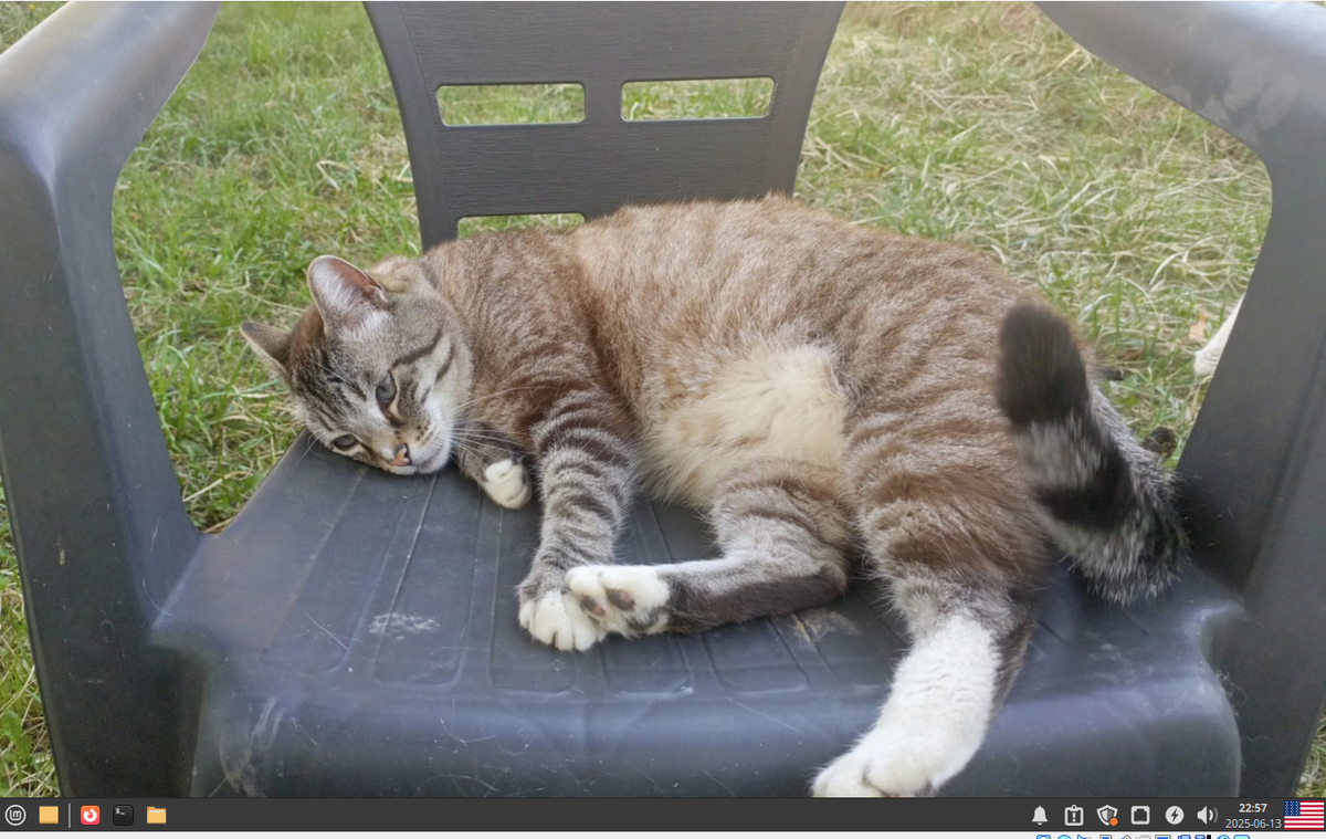 Linux Mint