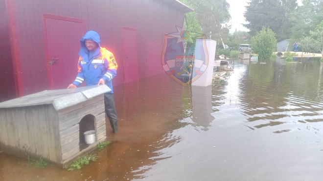 Фото: аварийно-спасательная служба Ленобласти