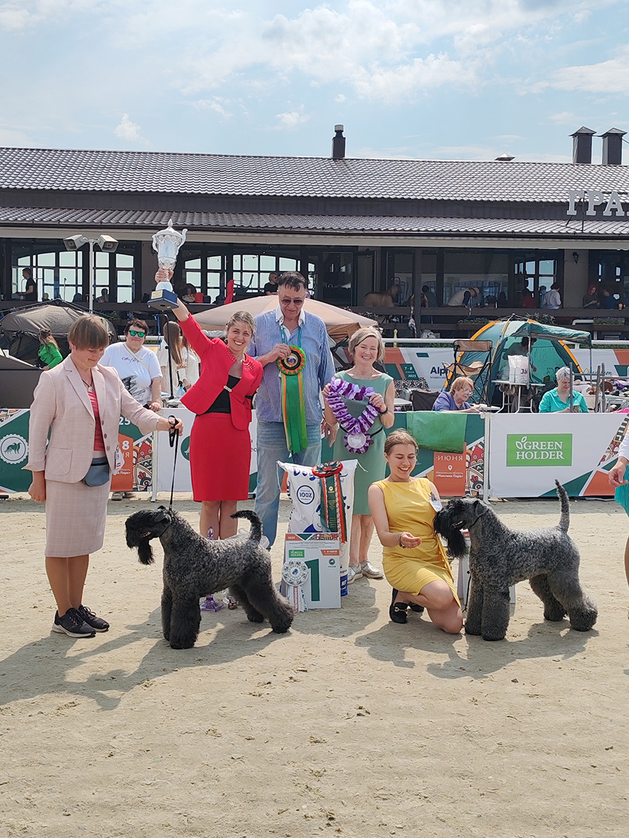 BOB - AVALANCHE EIRE-KERRY PARADISE IS YOU, сука, RKF 6077521, 03.11.2020, BDP 159 (Gellent Hof Ferdinand x Avalanche Eire-Kerry Germanika). Br.: N.Pecherkina. Ow.: E.Pakhomova & I.Vorontsov, Moscow, BOS - AVALANCHE EIRE-KERRY TOMAS, RKF 6600355, 04.04.2022, BDP 171 (Rollick's Arc'teryx For Avalanche x Avalanche Eire-Kerry Zhelanna). Br.: N.Pecherkina. Ow.: Yu.Kostyukhina & P.Guzhva, Moscow