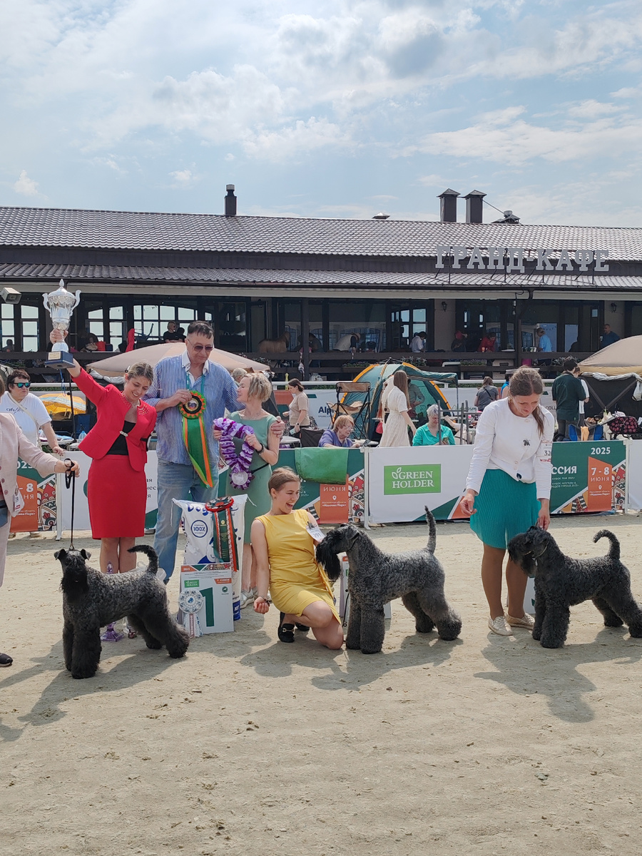 BOB - AVALANCHE EIRE-KERRY PARADISE IS YOU, сука, RKF 6077521, 03.11.2020, BDP 159 (Gellent Hof Ferdinand x Avalanche Eire-Kerry Germanika). Br.: N.Pecherkina. Ow.: E.Pakhomova & I.Vorontsov, Moscow, BOS - AVALANCHE EIRE-KERRY TOMAS, RKF 6600355, 04.04.2022, BDP 171 (Rollick's Arc'teryx For Avalanche x Avalanche Eire-Kerry Zhelanna). Br.: N.Pecherkina. Ow.: Yu.Kostyukhina & P.Guzhva, Moscow. ЛВ- AVALANCHE EIRE-KERRY ENTANTA KORDIALE, RKF 4657248, 15.06.2016, BDP 111 (Edbrios Matchmaker x Blu Joi Czarevna). Br.: N.Pecherkina. Ow.: A.Melnikova, Lipetskaya obl., Gryazi