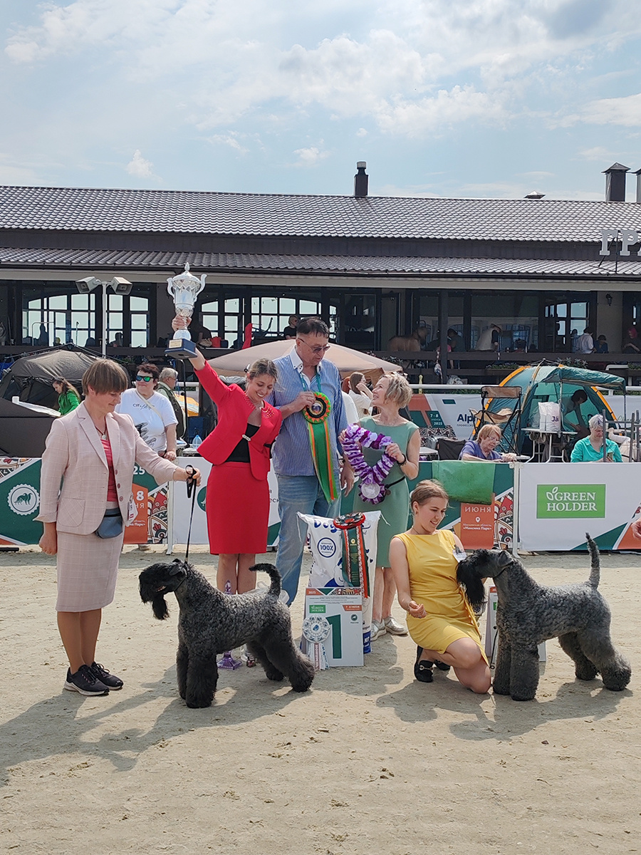 BOB - AVALANCHE EIRE-KERRY PARADISE IS YOU, сука, RKF 6077521, 03.11.2020, BDP 159 (Gellent Hof Ferdinand x Avalanche Eire-Kerry Germanika). Br.: N.Pecherkina. Ow.: E.Pakhomova & I.Vorontsov, Moscow, BOS - AVALANCHE EIRE-KERRY TOMAS, RKF 6600355, 04.04.2022, BDP 171 (Rollick's Arc'teryx For Avalanche x Avalanche Eire-Kerry Zhelanna). Br.: N.Pecherkina. Ow.: Yu.Kostyukhina & P.Guzhva, Moscow