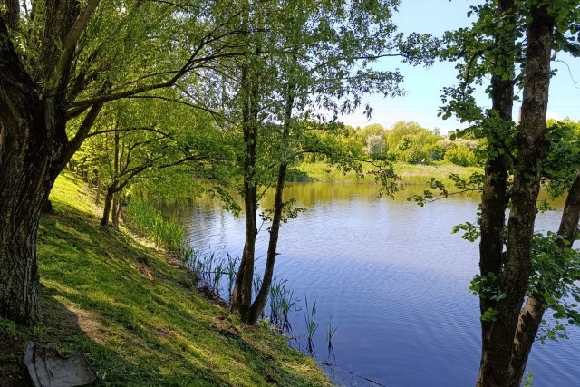   Фото из архива Калининград.Ru