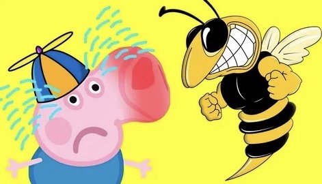 Картинка из свободного доступа 