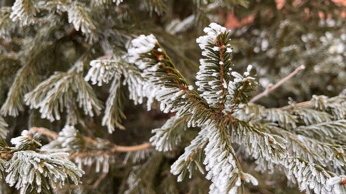    Фото: архив телеканала «Краснодар»