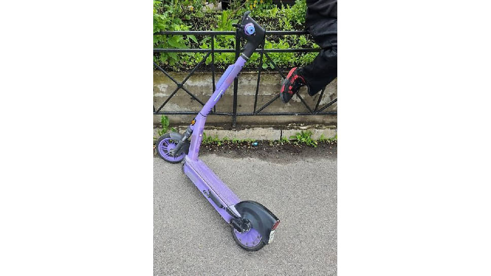 Фото: ГУ Росгвардии по Петербургу и Ленобласти