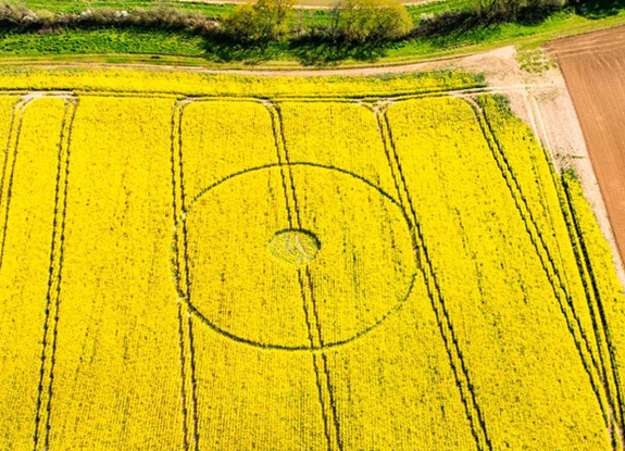 
Круги на полях Англии, графство Дорсет. 11 апреля 2025 года.
