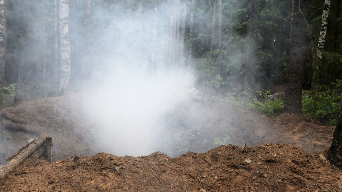    Фото: Svetliy/Shutterstock/Fotodom