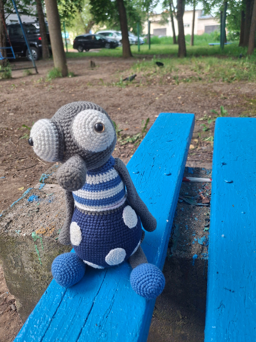 Фото автора канала