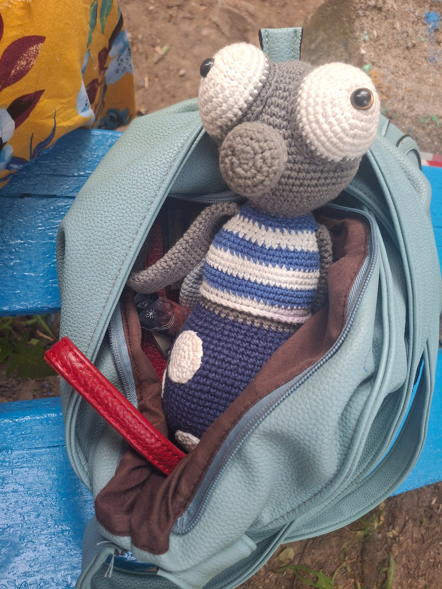 Фото автора канала