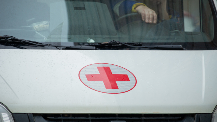    Фото: ИЗВЕСТИЯ/Телеканал «78»