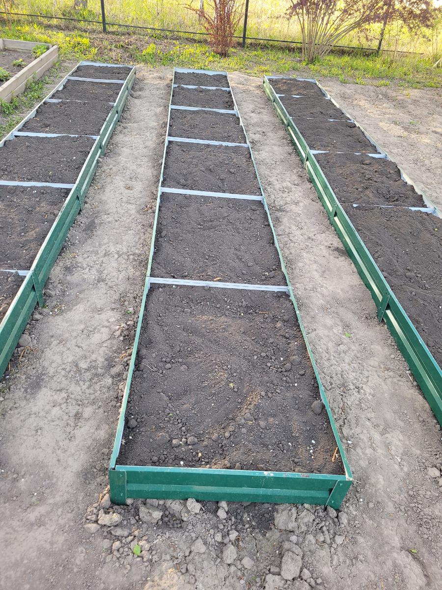 Приготовили грядки