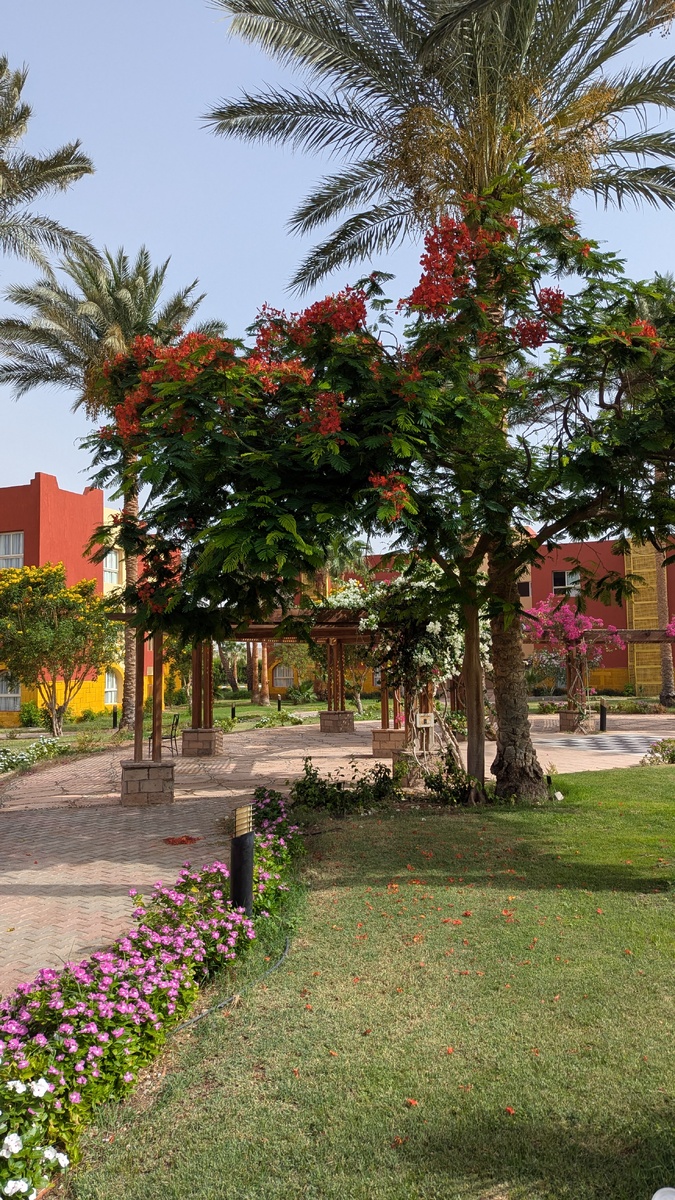 Территория отеля