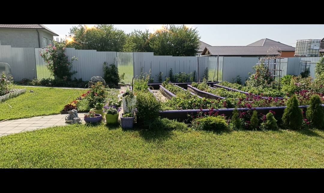 Забор с "окнами" моего исполнения.