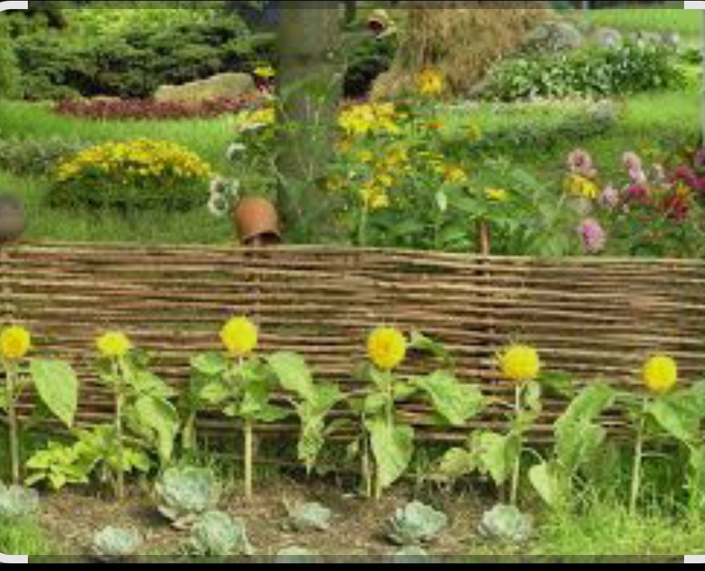 Наверное вот такой.