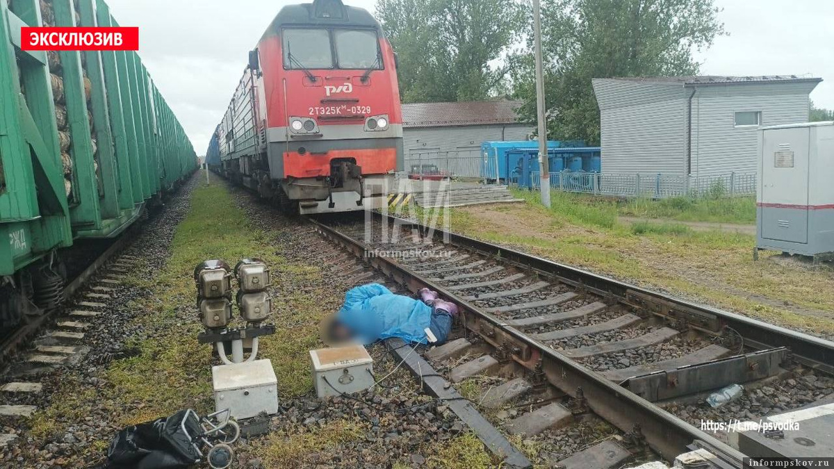 Фото здесь и далее: ПАИ