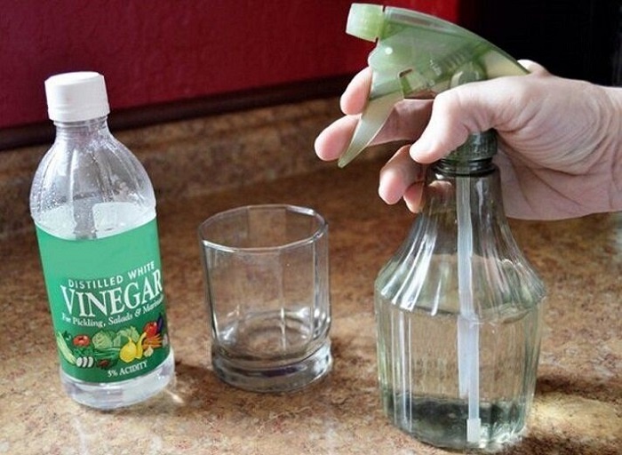 Смешайте уксус с водой в пульверизаторе. / Фото: fb.ru