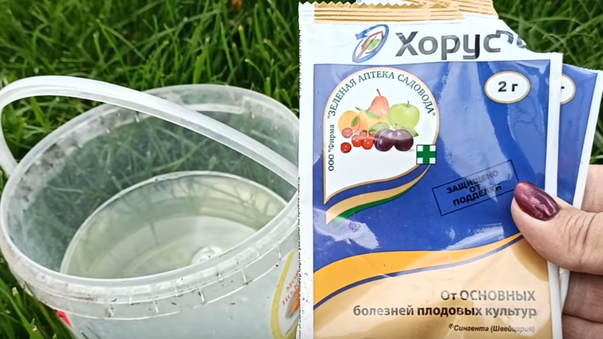 Хорус и Скор, которые отлично работали еще в прошлые годы, сегодня практически бесполезны.
