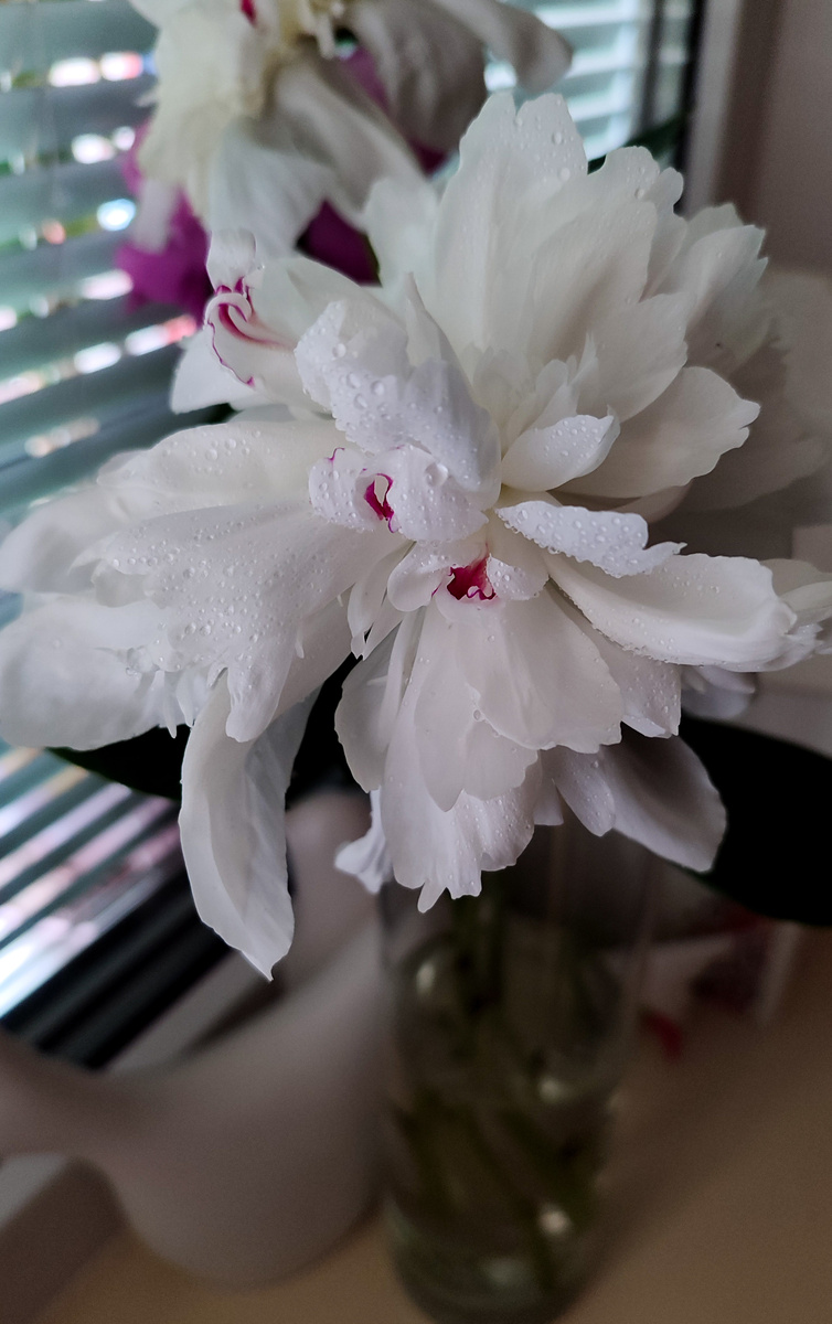 Поделюсь красотой момента. Накопилось достаточно и хочется показать. 