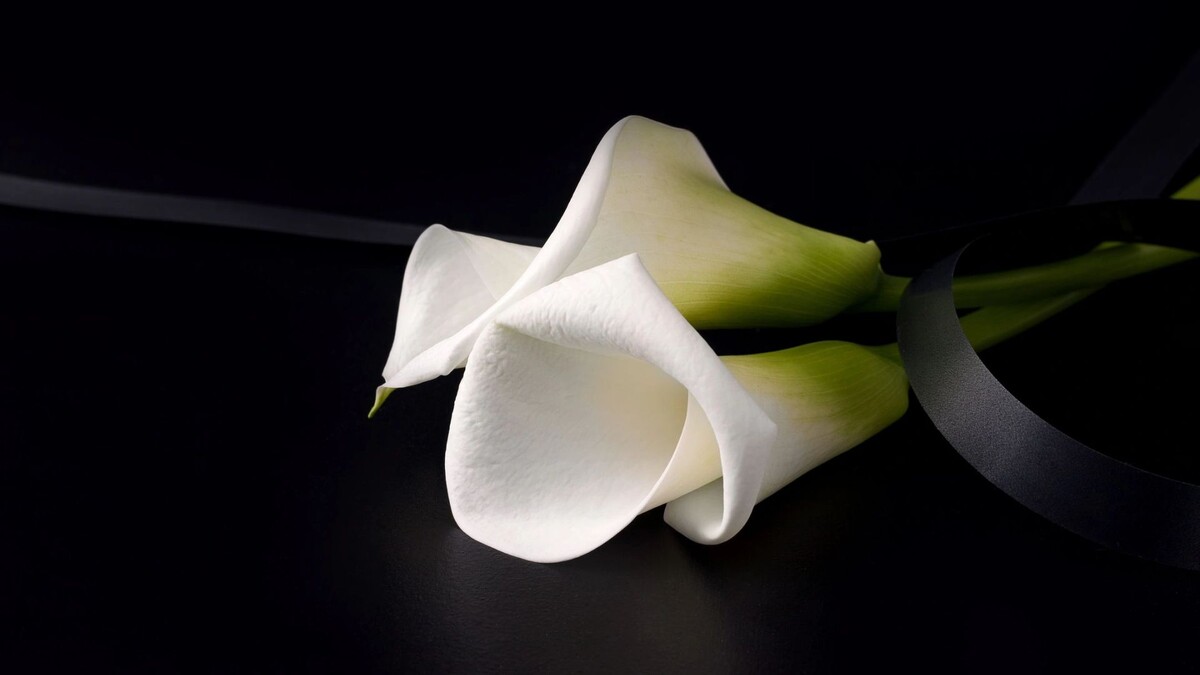    Фото: Marharyta M/Shutterstock/Fotodom