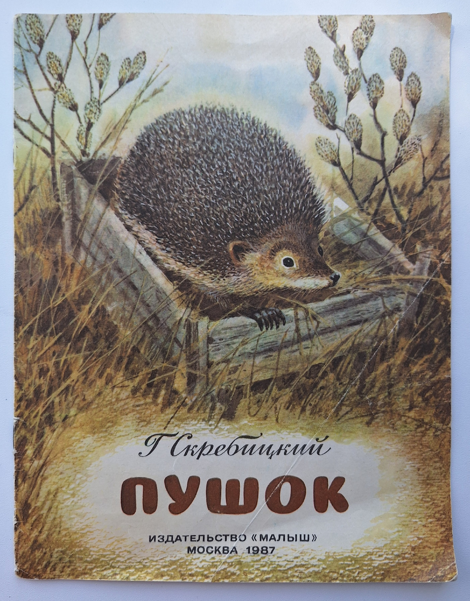 Обложка книги, все фото автора