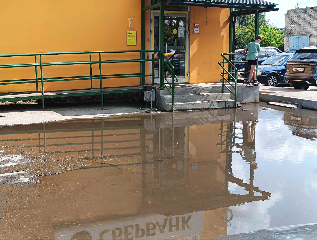 сбер что свиньи, любят грязь и врут