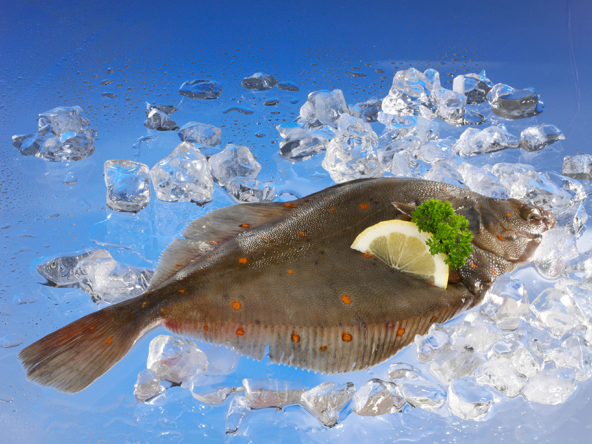 Фото: © Karl Newedel/ imageBROKER.com/ Global Look Press