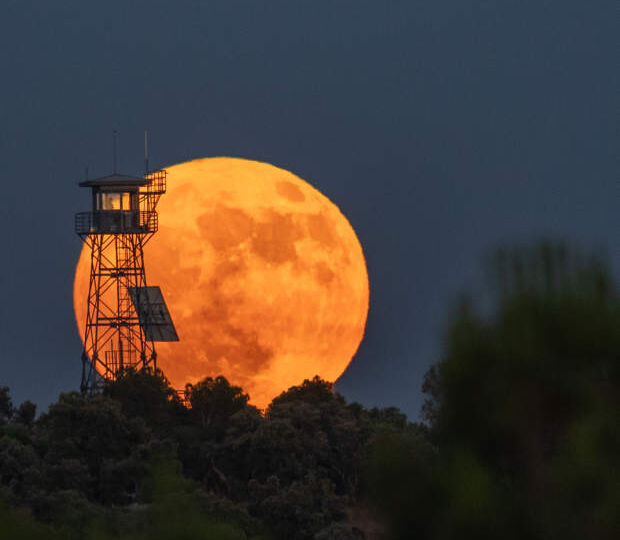 Такой клубничной Луны не было 18 лет?