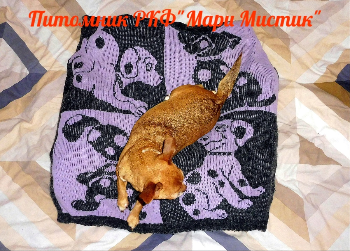 ЛЕЖАК ИЗ СВИТЕРА И ПОДУШКИ