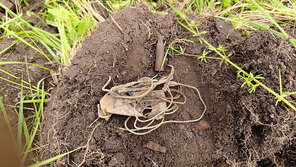 Первые цветные сигналы