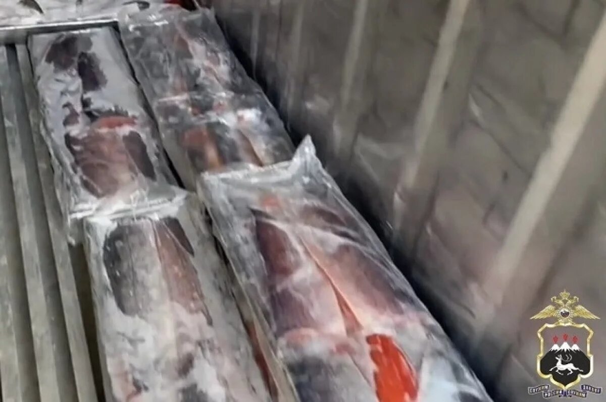    На Камчатке у руководителя рыбзавода изъяли 750 кг «скрытого» лосося