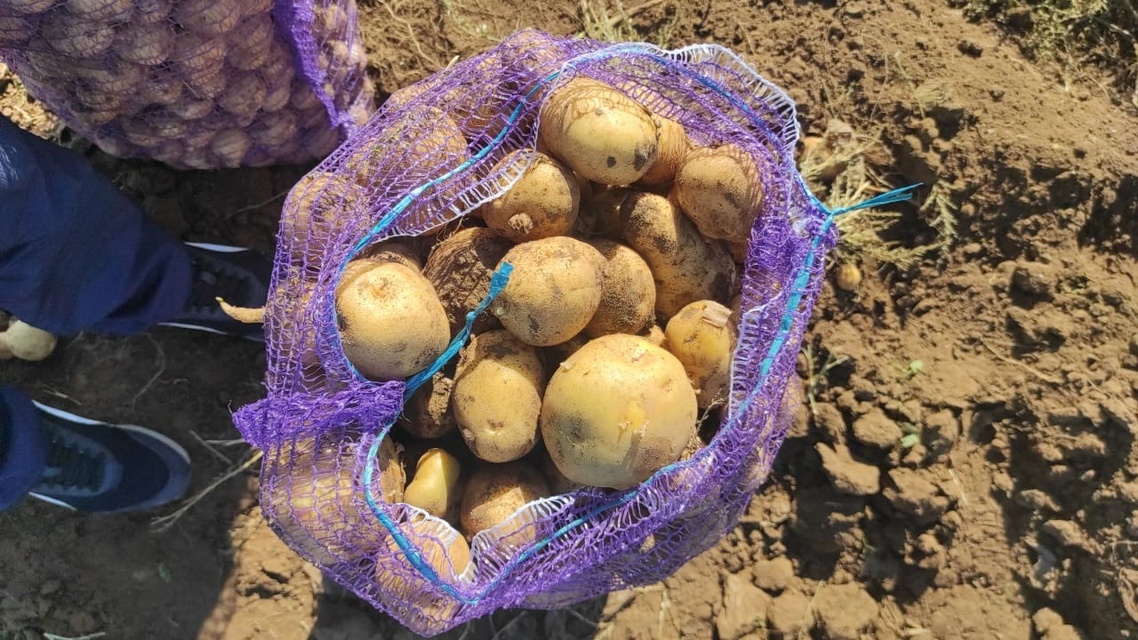 Результат урожая одного из прошлых сезонов.