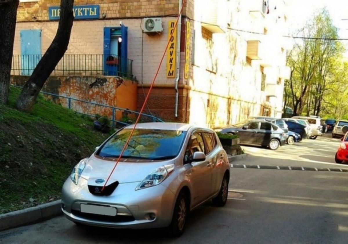 Изображения взяты из открытых источников