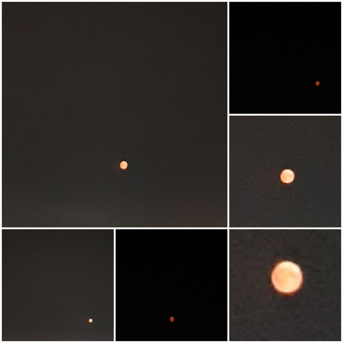 Коллаж автора статьи. 11.06.2025г.