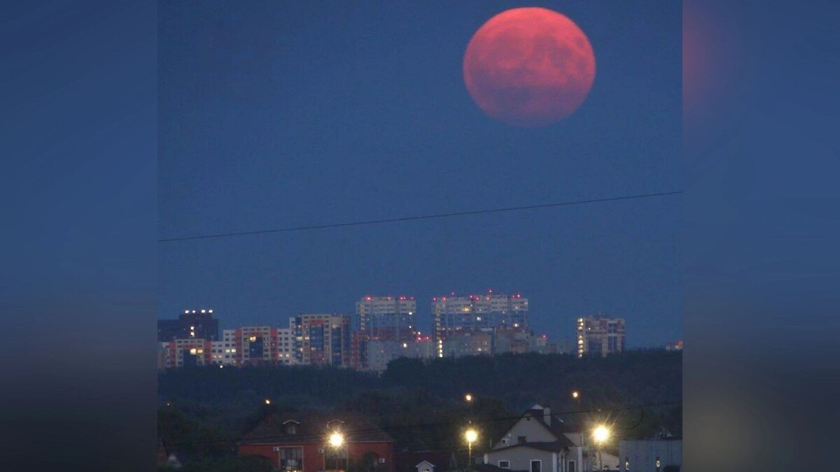    Фото: Starhit.ru/t.me