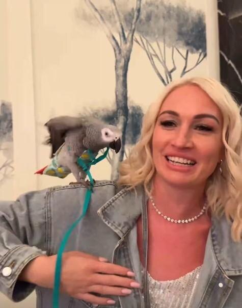 Листайте вправо, чтобы увидеть больше изображений